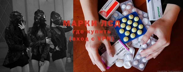 стаф Белокуриха