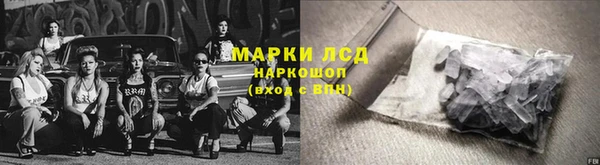 стаф Белокуриха