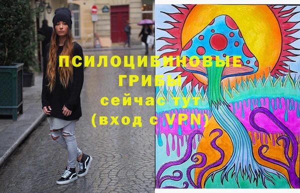 стаф Белокуриха