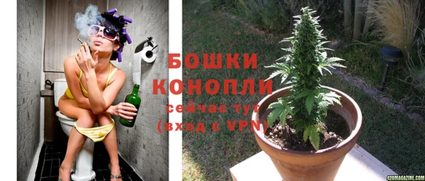 стаф Белокуриха
