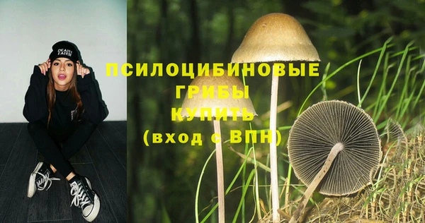 прущая мука Беломорск