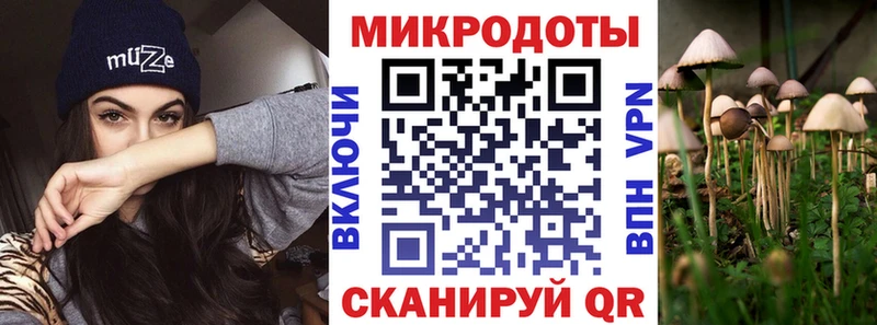 Купить закладки  Мензелинск  Псилоцибиновые грибы MAGIC MUSHROOMS 